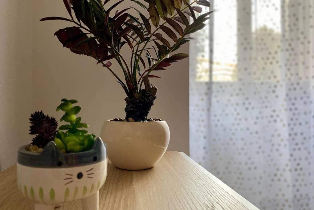 Central Modern Apartment Rome -Locazione Turistica- Dış mekan fotoğraf